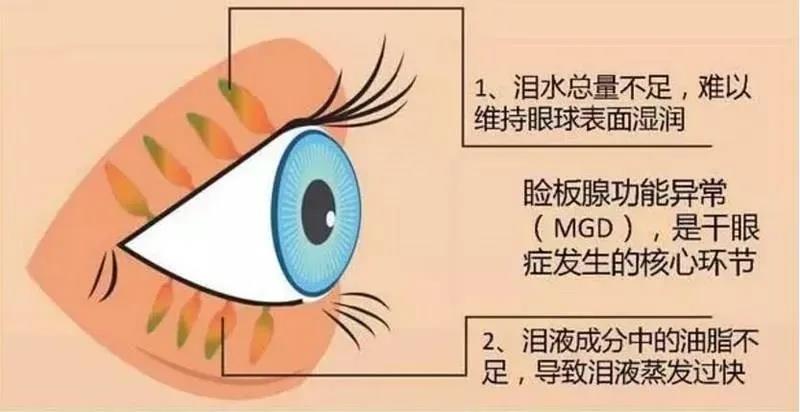 圖片2 圖片2