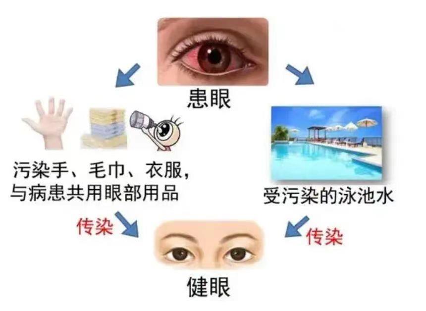 圖片2 圖片2.png