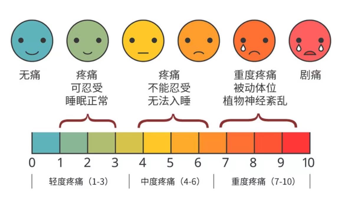 圖片22 圖片22.png