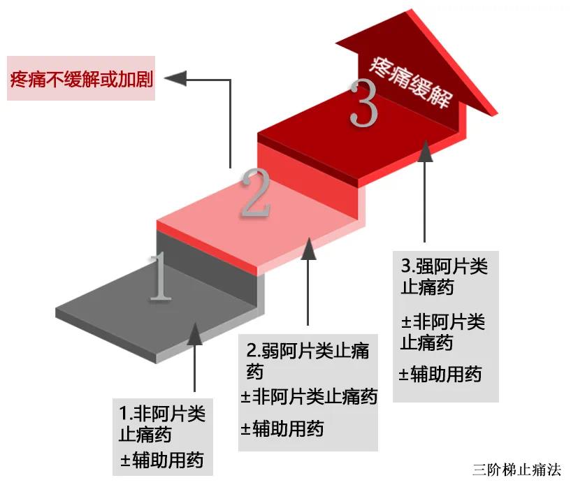 圖片23 圖片23.png
