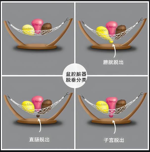圖片2 圖片2.png