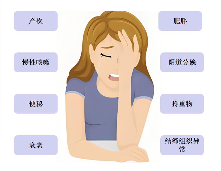 圖片3 圖片3.png