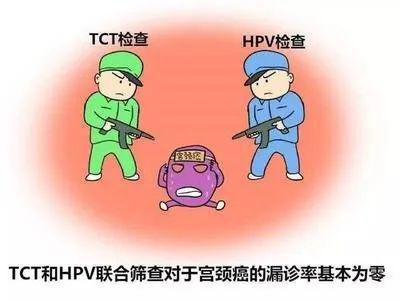 圖片5 圖片5.png