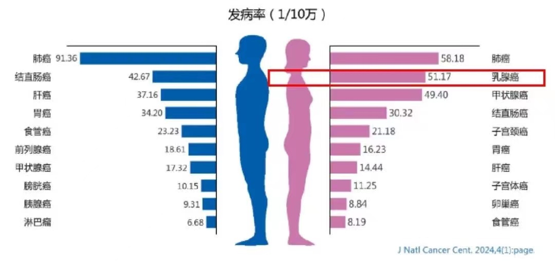 圖片1 圖片1.png