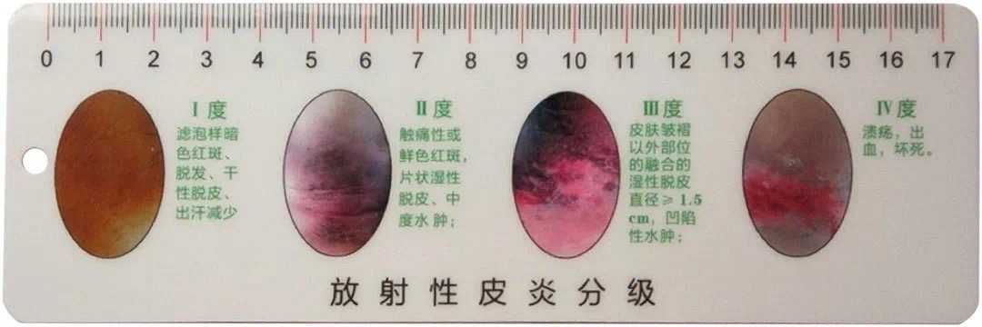 圖片4 圖片4.png