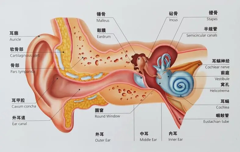 圖片1 圖片1.png