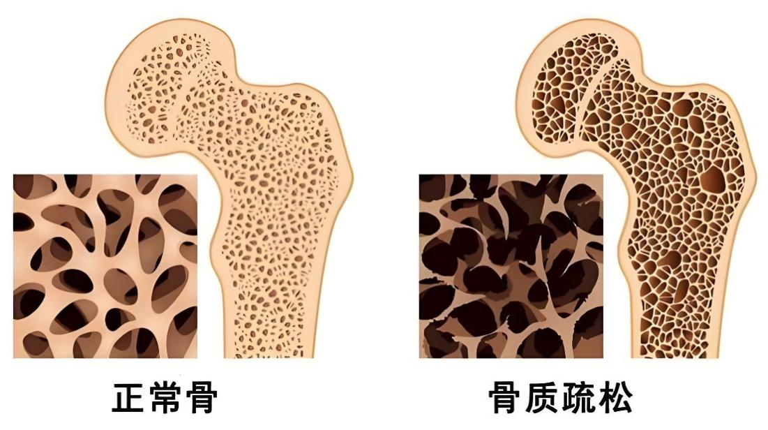 圖片2 圖片2.png
