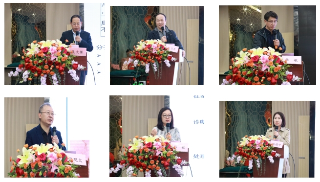 微信截圖_20241113104345 微信截圖_20241113104345.png